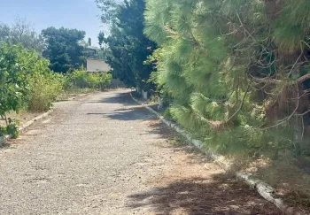 47 sot Torpaq Satılır, Mərdəkan, Xəzər, Bakı