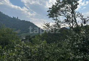 0 m² Obyekt / Ofis , Astara