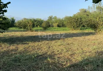 0 m² Obyekt / Ofis , Oğuz