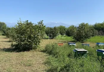 0 m² Obyekt / Ofis , Oğuz