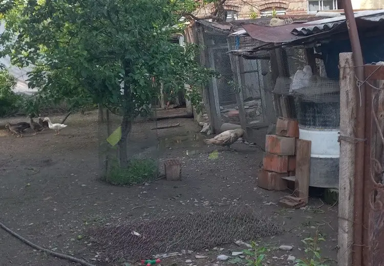 2 otaqlı mənzil Satılır, Şəki