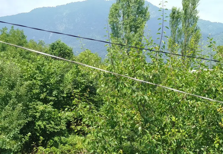 12 sot Torpaq Satılır, İsmayıllı