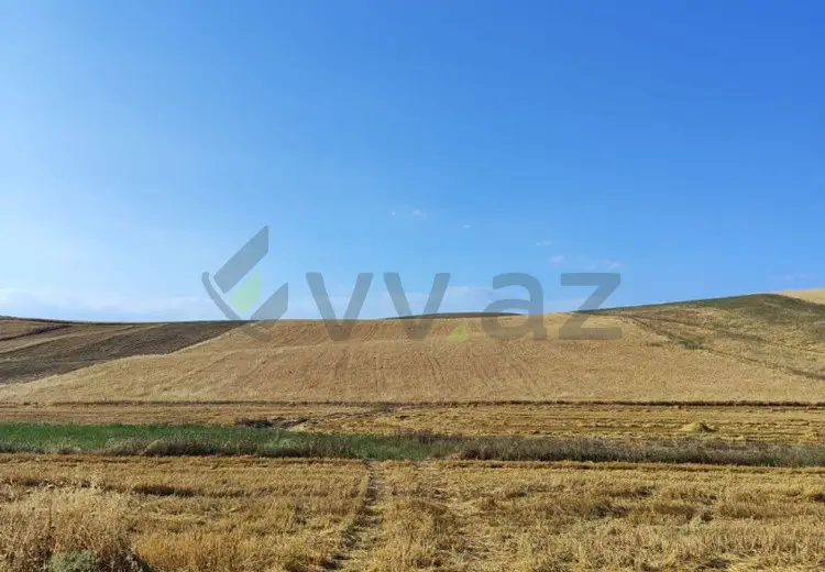 1500 sot Torpaq Satılır, Qobustan