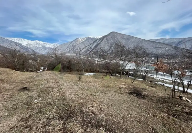 7 sot Torpaq Satılır, Şəki