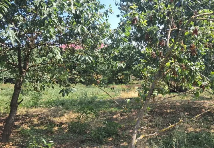 3 otaqlı mənzil Satılır, Qusar