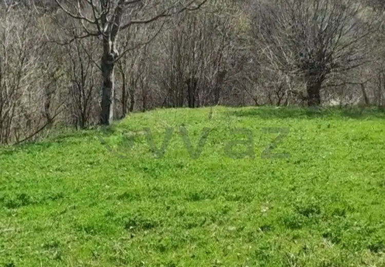 32 sot Torpaq Satılır, Tovuz