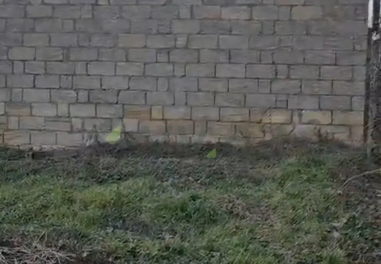 6 sot Torpaq Satılır, Şamaxı
