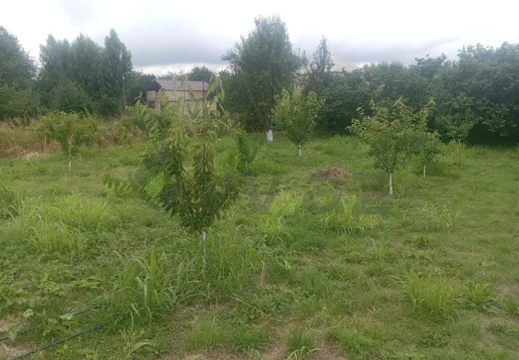 10 sot Torpaq Satılır, Quba