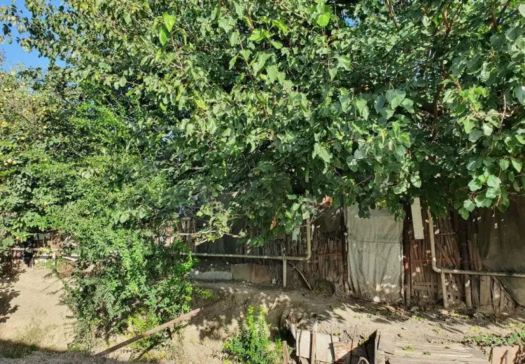 6 sot Torpaq Satılır, Mingəçevir