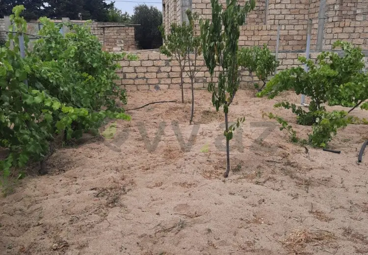 10 sot Torpaq Satılır, Novxanı, Abşeron