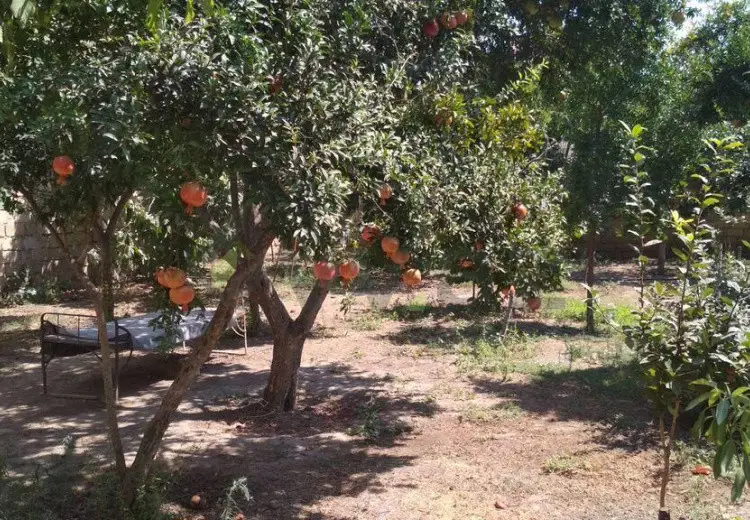 3 sot Torpaq Satılır, Xırdalan