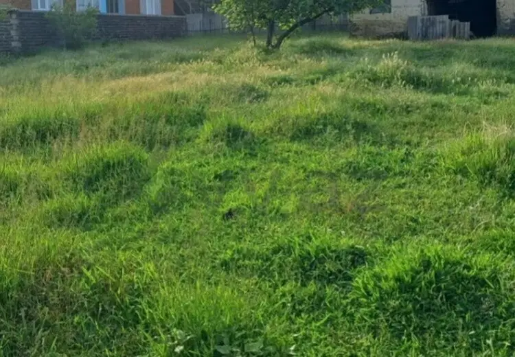 6 sot Torpaq Satılır, Lənkəran