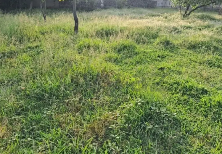 6 sot Torpaq Satılır, Lənkəran