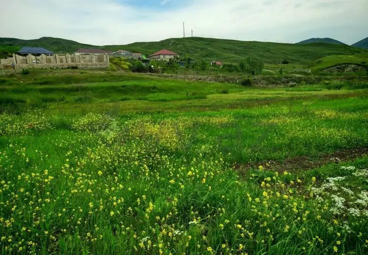 151 sot Torpaq Satılır, Şamaxı