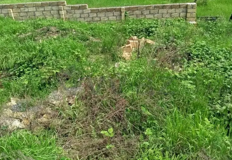 3 sot Torpaq Satılır, Qəbələ