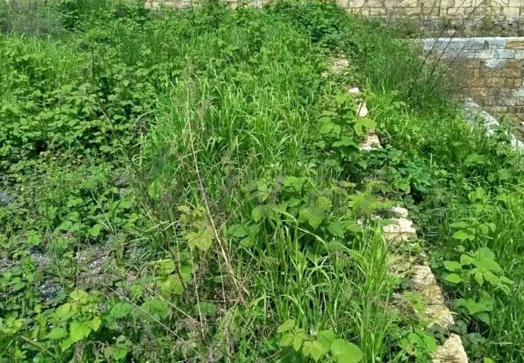 3 sot Torpaq Satılır, Qəbələ