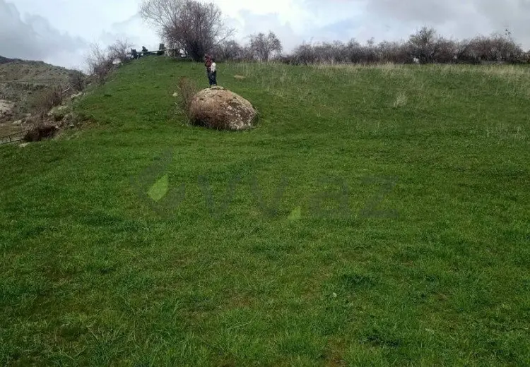 29 sot Torpaq Satılır, Naxçıvan MR