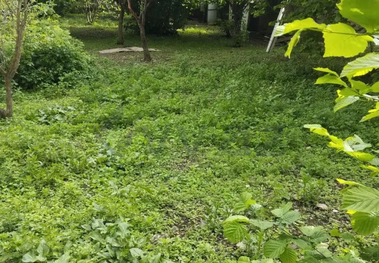 6 sot Torpaq Satılır, Oğuz