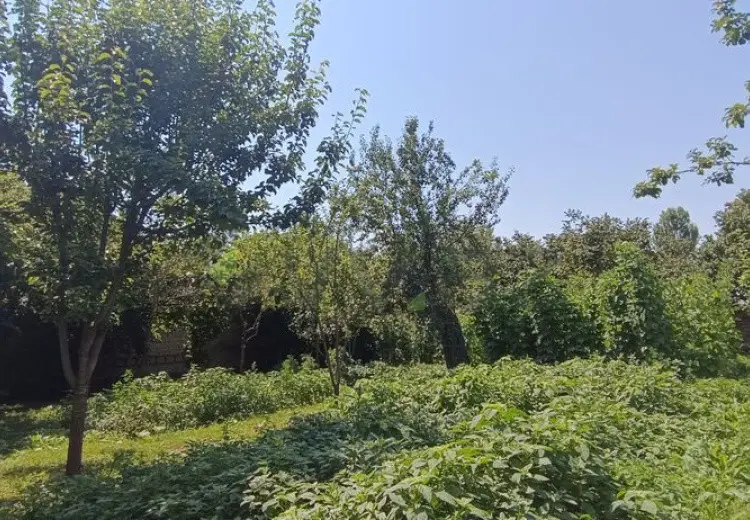 15 sot Torpaq Satılır, Qəbələ