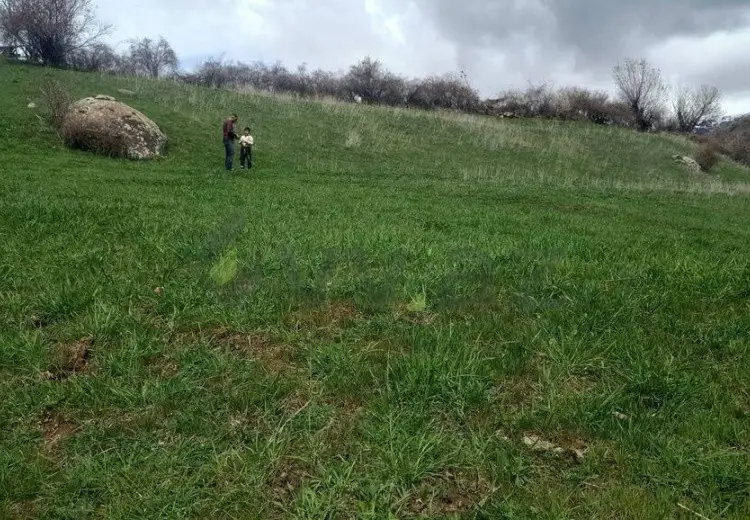 29 sot Torpaq Satılır, Naxçıvan MR