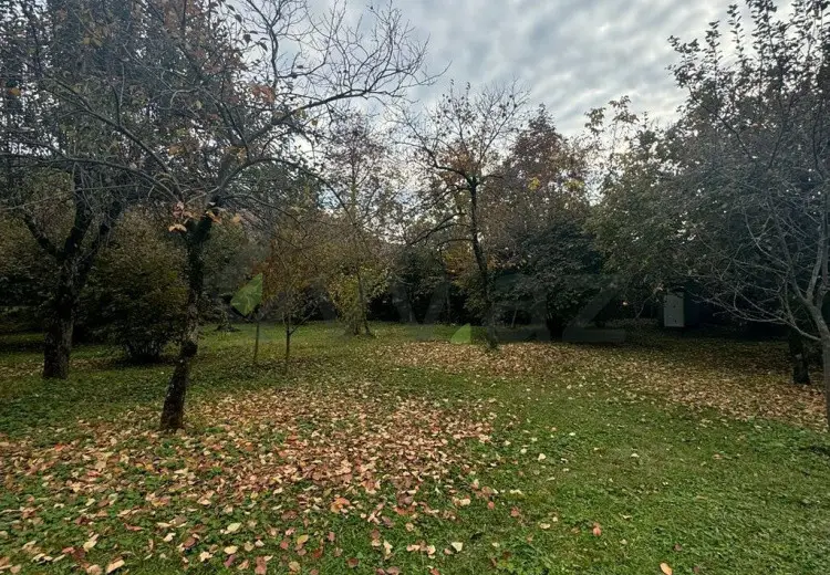 10 sot Torpaq Satılır, Zaqatala