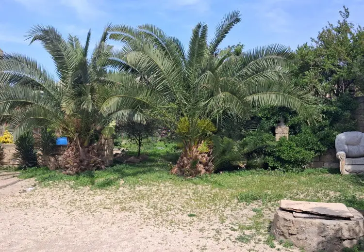19 sot Torpaq Satılır, Corat köhnə , Sumqayıt