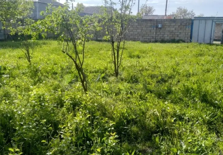 10 sot Torpaq Satılır, Qax
