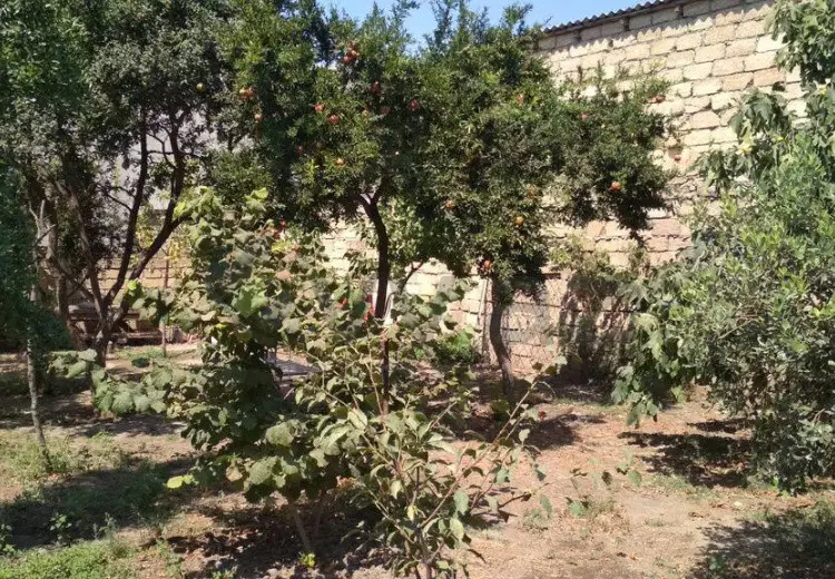 3 sot Torpaq Satılır, Xırdalan
