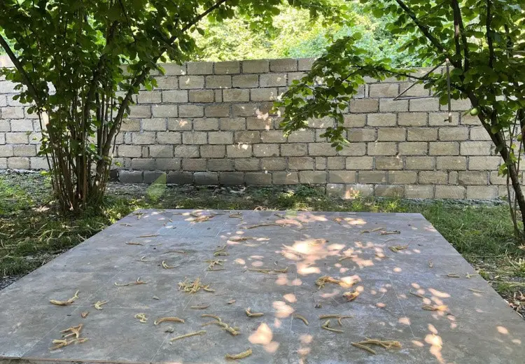 3 otaqlı mənzil Satılır, Qəbələ