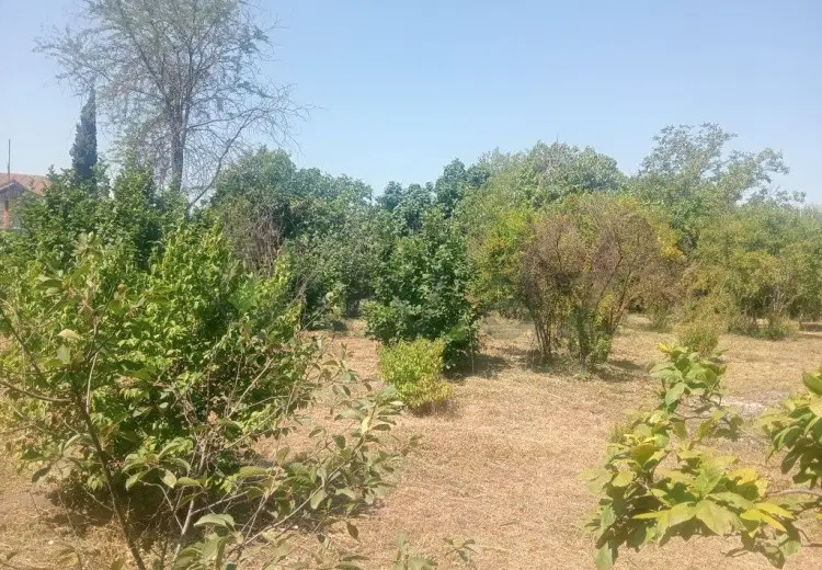 10 sot Torpaq Satılır, Bərdə