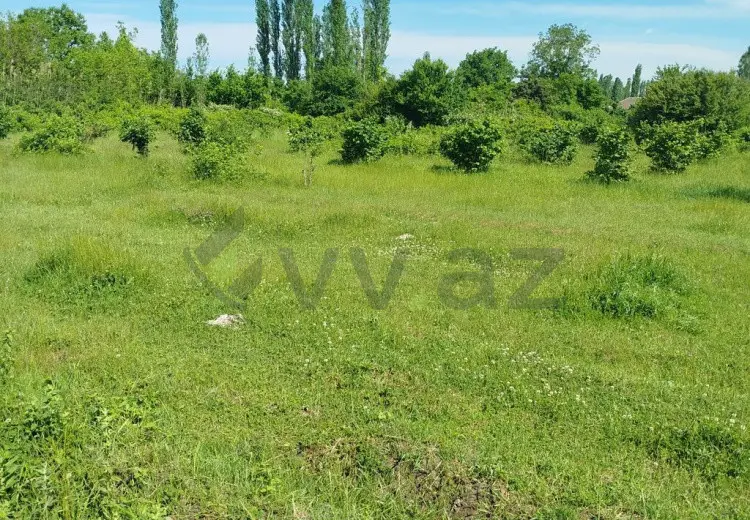 12 sot Torpaq Satılır, Şabran
