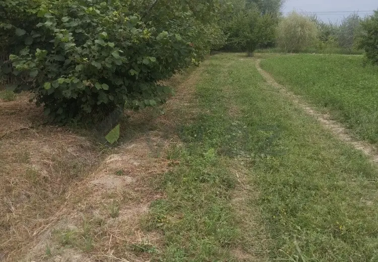 157 sot Torpaq Satılır, Xaçmaz