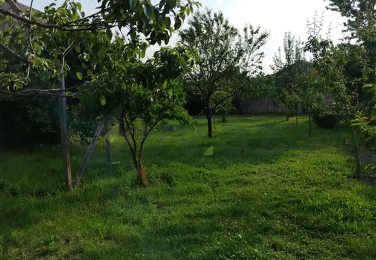 6 sot Torpaq Satılır, Oğuz