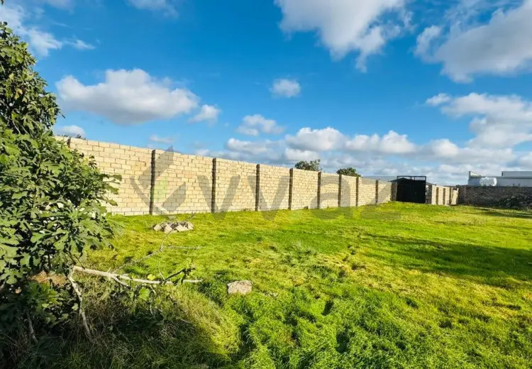 11 sot Torpaq Satılır, Buzovna, Xəzər, Bakı