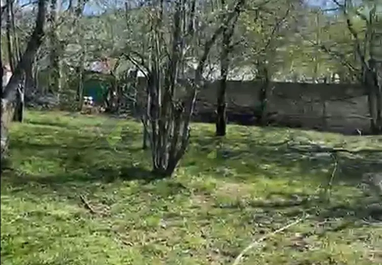 5.2 sot Torpaq Satılır, Qəbələ