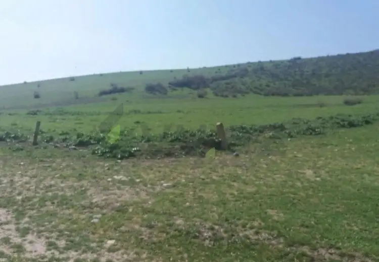 19 sot Torpaq Satılır, İsmayıllı
