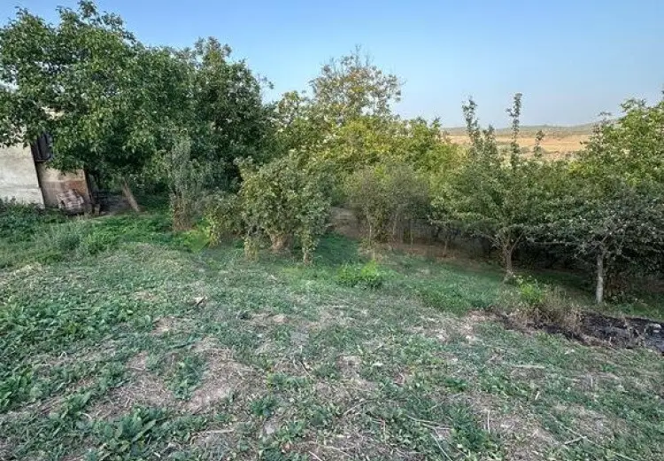 22 sot Torpaq Satılır, Şabran