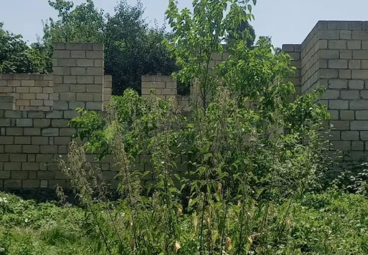 5 sot Torpaq Satılır, Qəbələ