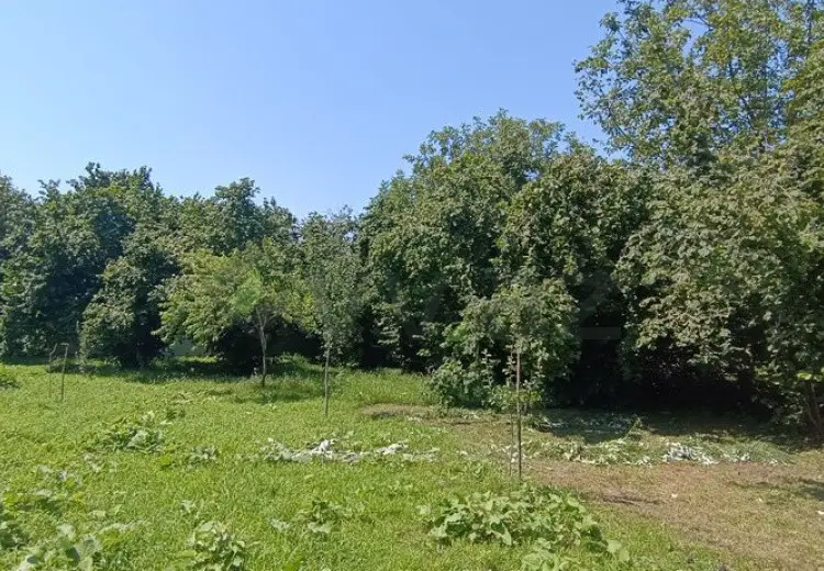 15 sot Torpaq Satılır, Qəbələ