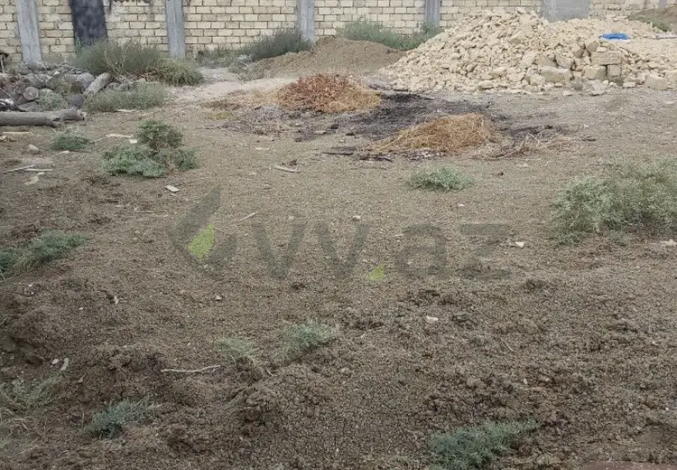 4 sot Torpaq Satılır, Saray, Abşeron
