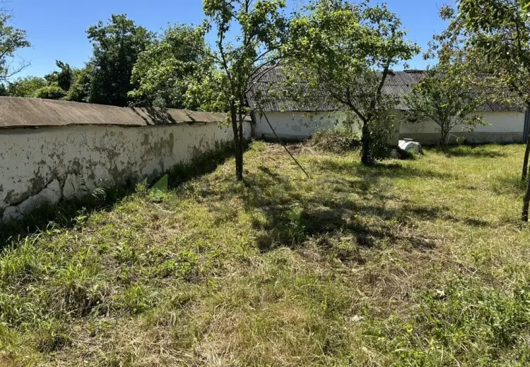 15 sot Torpaq Satılır, Qəbələ