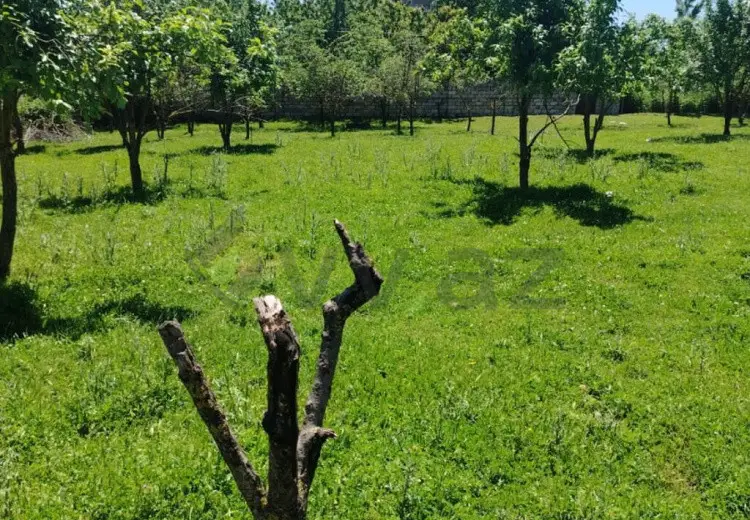 4 sot Torpaq Satılır, Quba