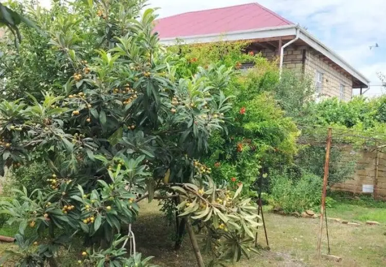 4 otaqlı mənzil Satılır, Gəncə