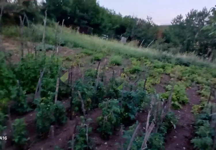 4 otaqlı mənzil Satılır, Şamaxı