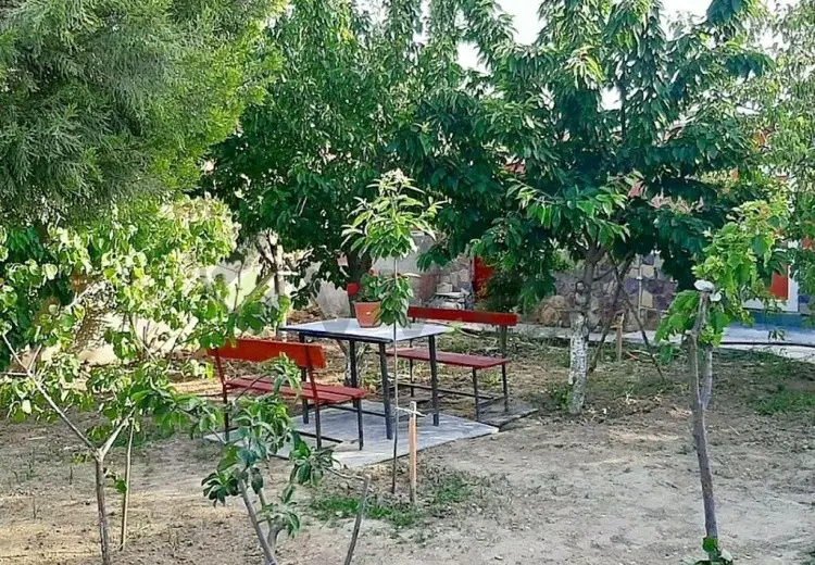 3 otaqlı mənzil Kirayə (günlük), Novxanı, Abşeron