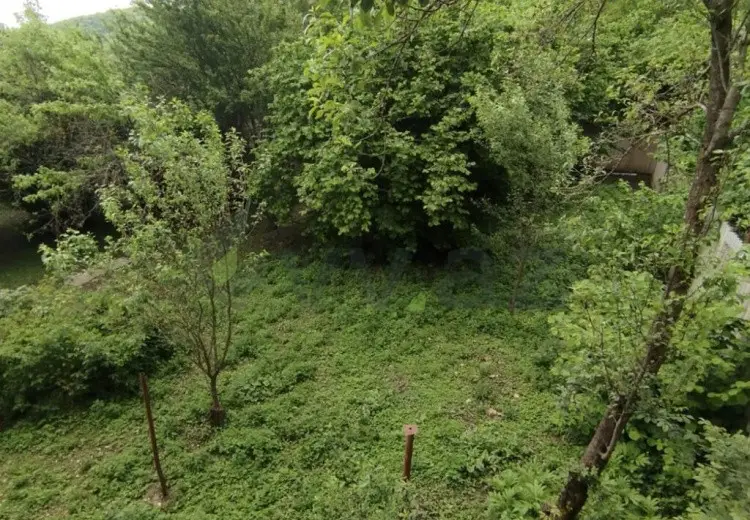 6 sot Torpaq Satılır, Oğuz