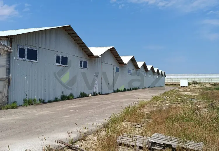 2000 m² Obyekt / Ofis Kirayə (aylıq), Məştağa qəs., Sabunçu, Bakı