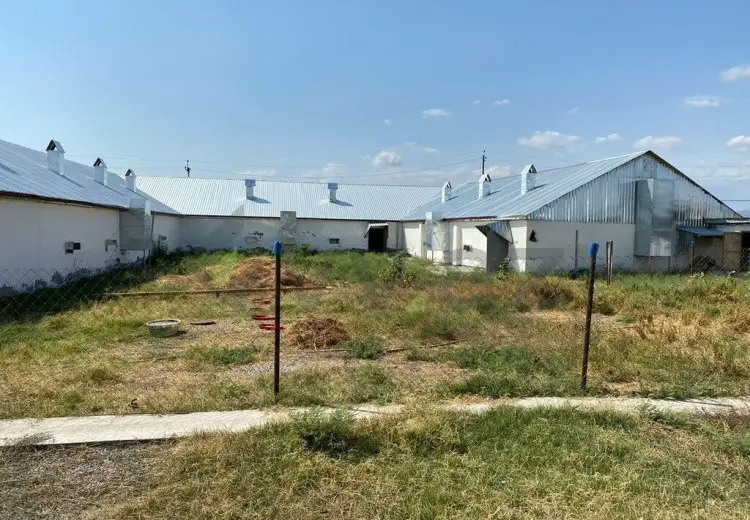 80 sot Torpaq Satılır, Ağsu