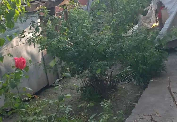 2 otaqlı mənzil Satılır, Şəki