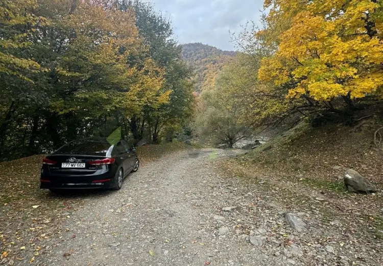 10 sot Torpaq Satılır, Zaqatala